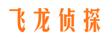 瑶海侦探公司